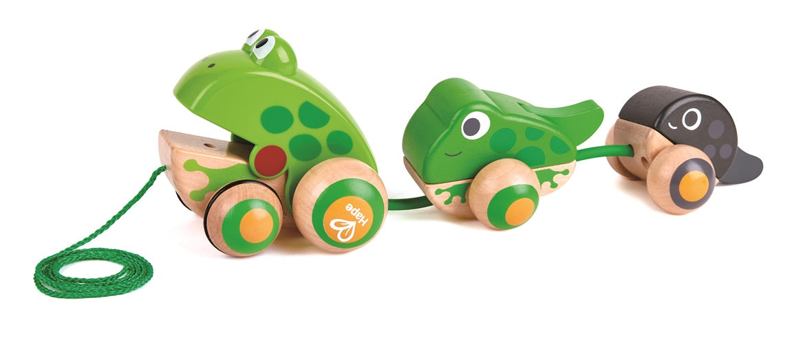 Hape Pull-Along Frog Family – Fun Wooden Toy with Frog Life Cycle for Toddlers to Explore Nature, Movement, and Early Learning