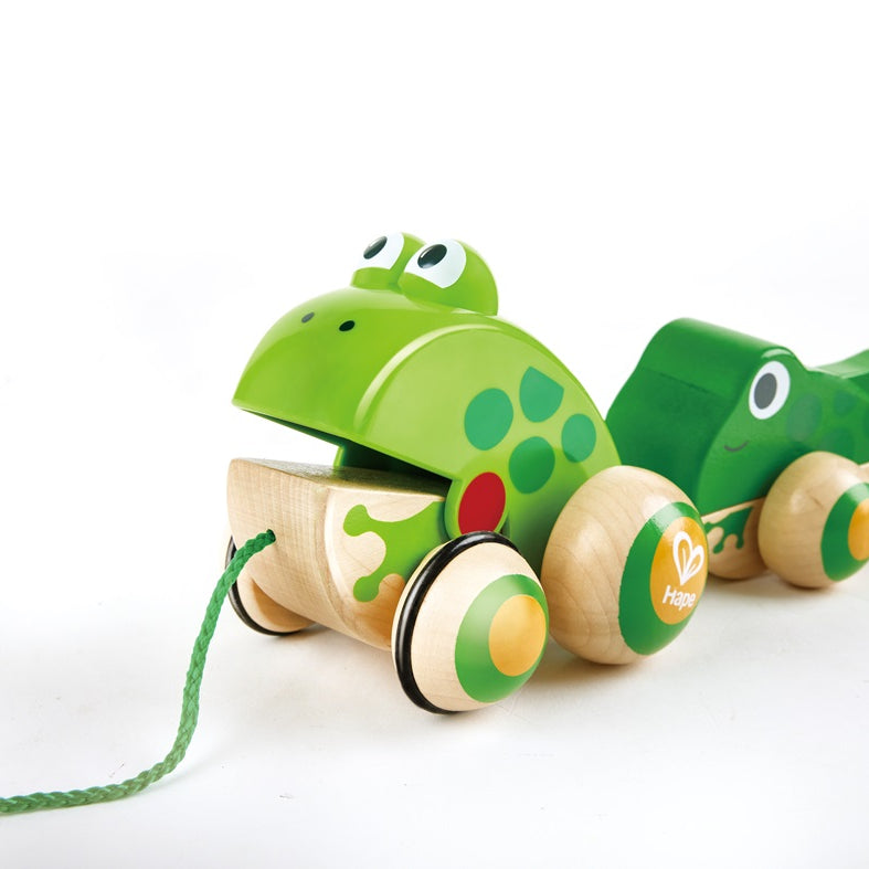 Hape Pull-Along Frog Family – Fun Wooden Toy with Frog Life Cycle for Toddlers to Explore Nature, Movement, and Early Learning