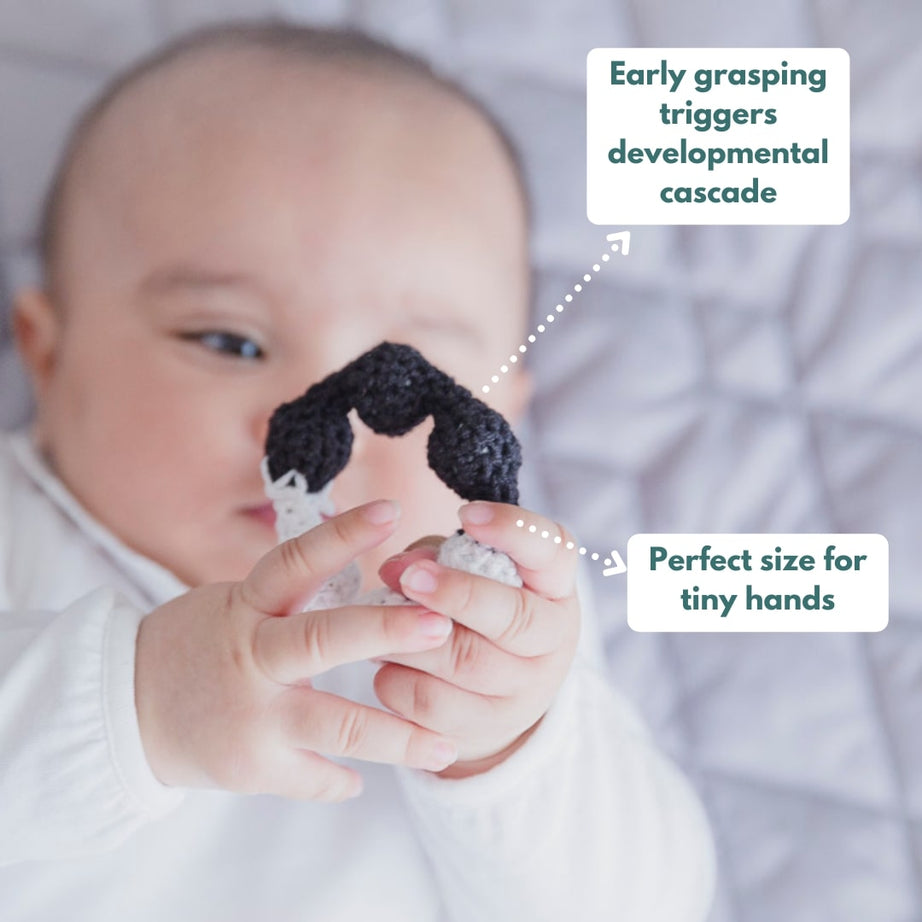 Curious Cub Play & Learn Montessori Kit | Level 1 for 0-3 Months | 9 Engaging Sensory & Developmental Toys for Newborns | High Contrast, Auditory & Motor Skill-Boosting Playset | Made in India