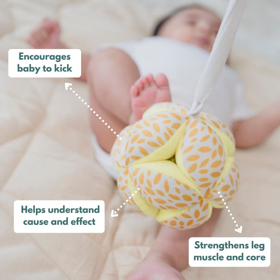 Curious Cub Play & Learn Montessori Kit | Level 1 for 0-3 Months | 9 Engaging Sensory & Developmental Toys for Newborns | High Contrast, Auditory & Motor Skill-Boosting Playset | Made in India