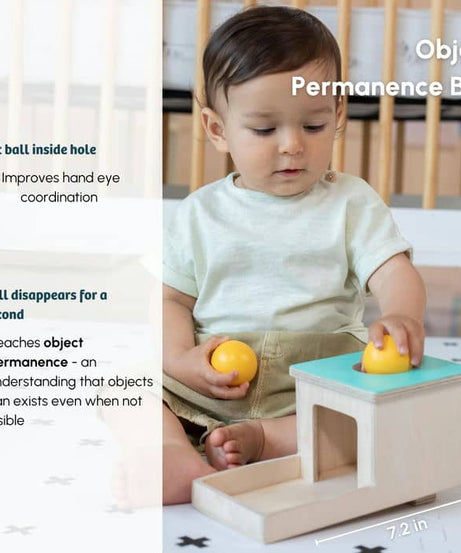 Curious Cub Level 4 Play & Learn Montessori Kit (7 Months+) | 8-Piece Developmental Toy Set for Object Permanence, Motor Skills & Sensory Exploration | minimee kids