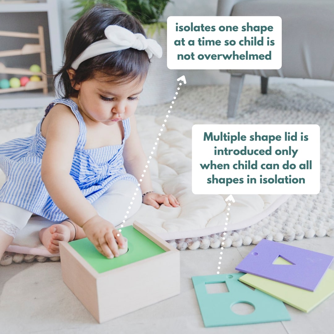 Curious Cub Level 5 Montessori Play & Learn Kit (9 Months+) | 9-Piece Educational Toy Set for Pincer Grip, Shape Recognition & Language Skills | minimee kids