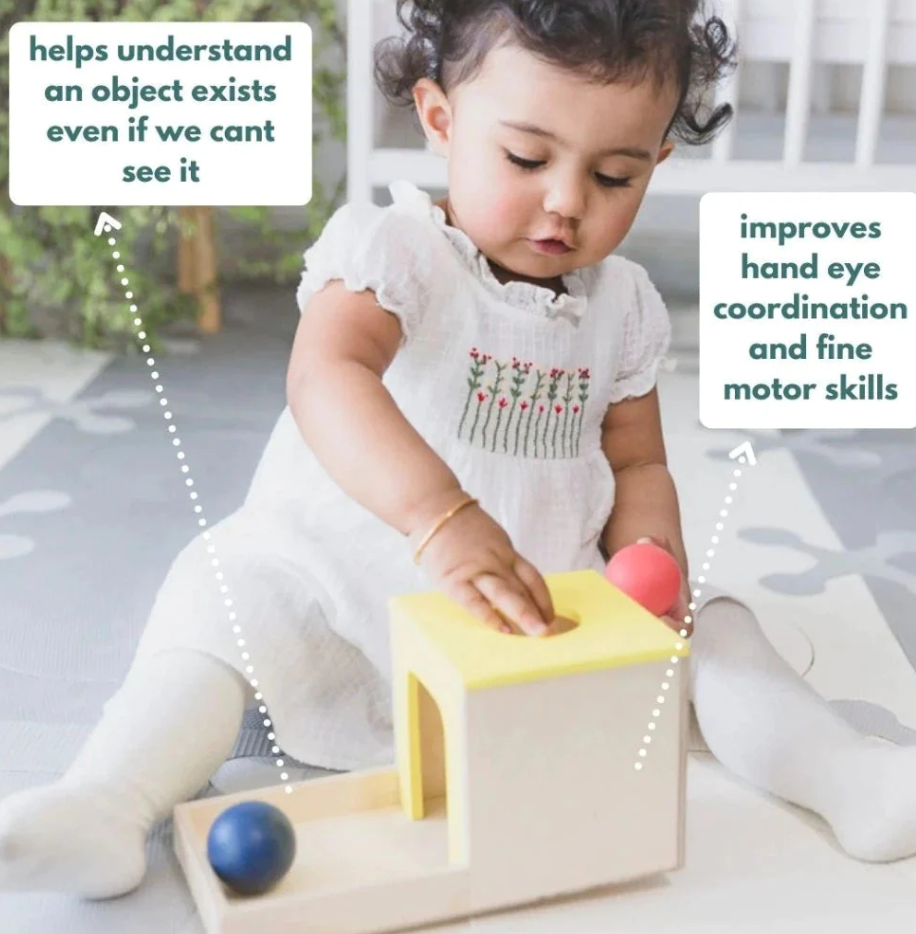 Curious Cub Count & Drop Box – MINIMEE KIDS