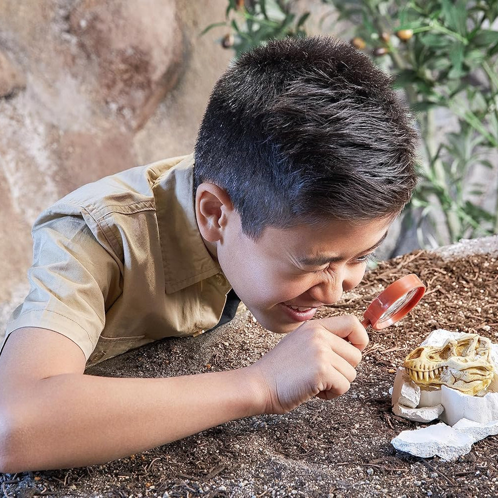 Zuru Robo Alive Mega Dino Fossil Find - Excavation Kit with Robotic Dinosaur Skeleton, Lights Up, Roars, Includes Fossils, Slime, and Sand, for Kids Ages 5+