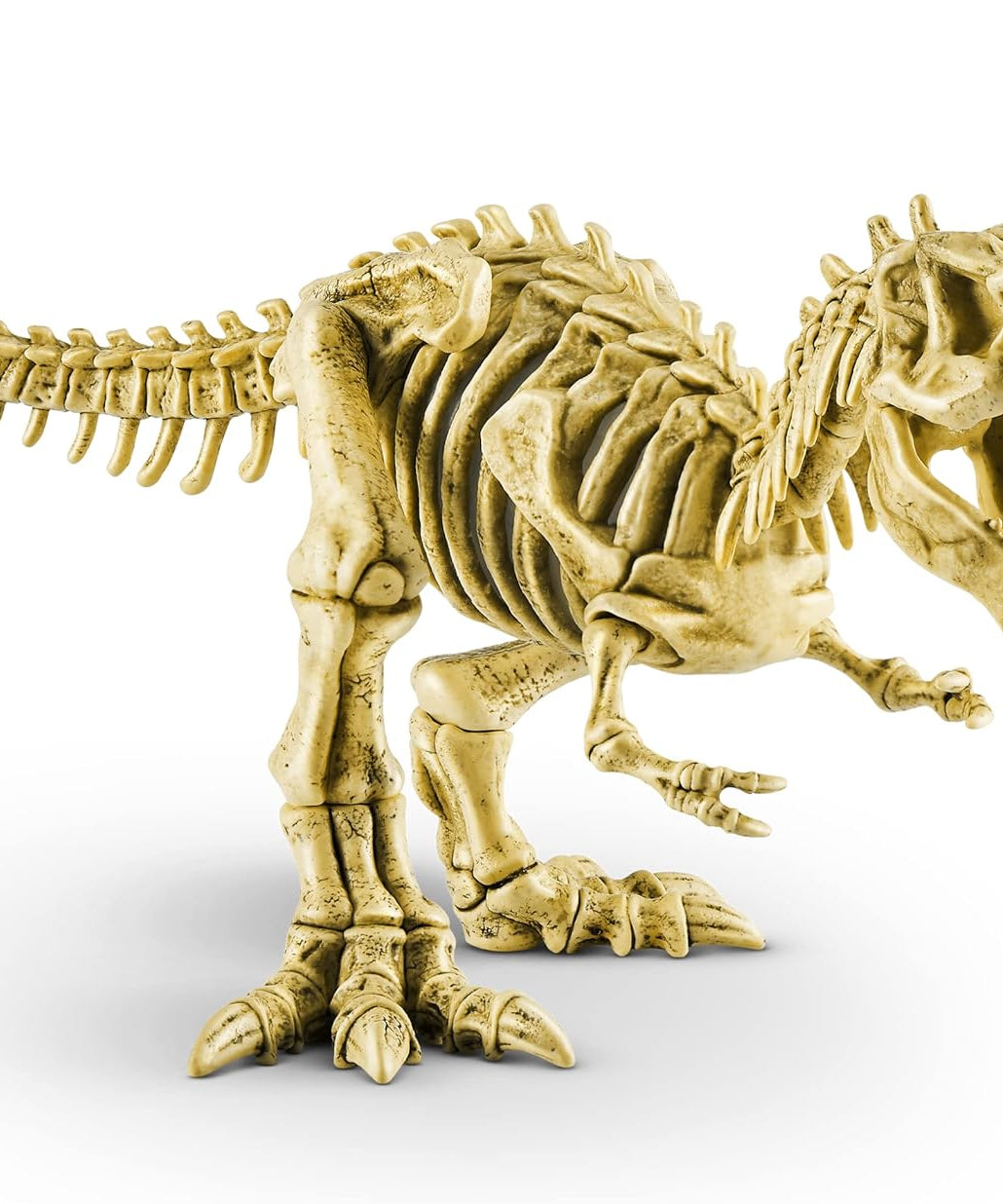 Zuru Robo Alive Mega Dino Fossil Find - Excavation Kit with Robotic Dinosaur Skeleton, Lights Up, Roars, Includes Fossils, Slime, and Sand, for Kids Ages 5+