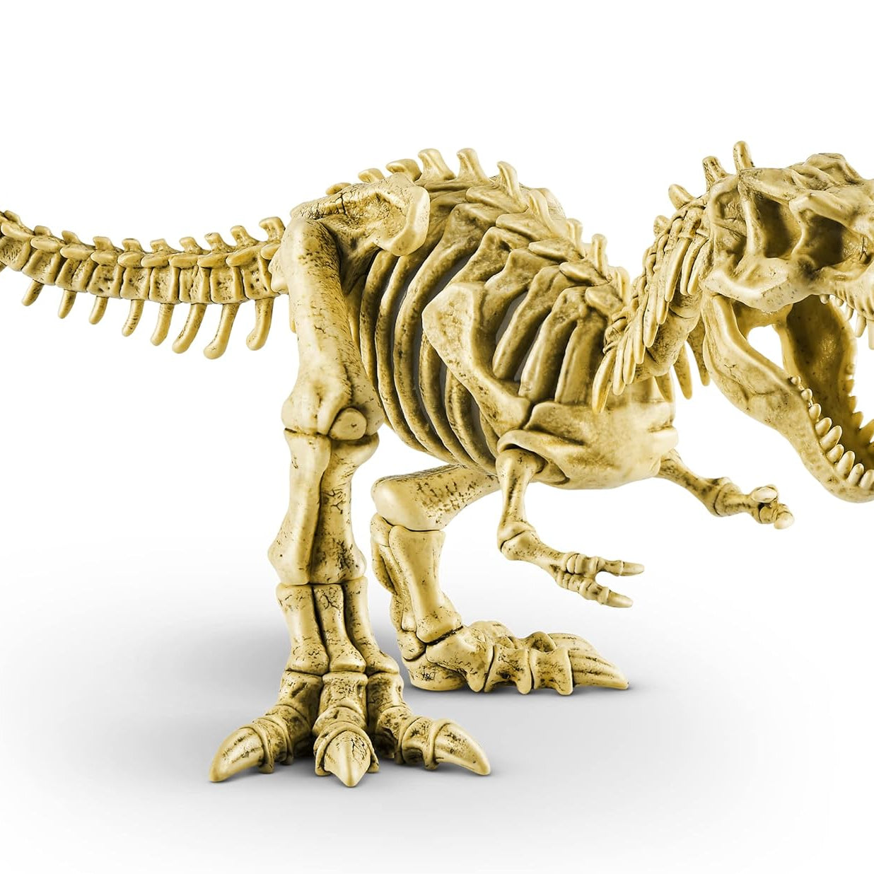 Zuru Robo Alive Mega Dino Fossil Find - Excavation Kit with Robotic Dinosaur Skeleton, Lights Up, Roars, Includes Fossils, Slime, and Sand, for Kids Ages 5+