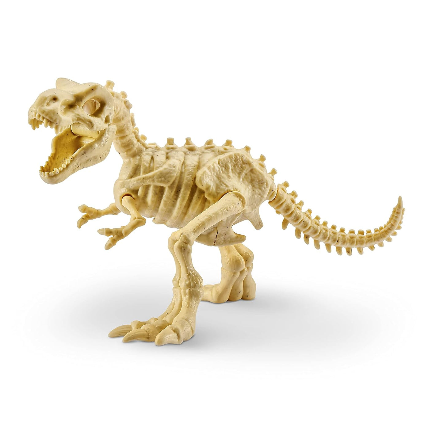 Zuru Robo Alive Dino Fossil Find - Dig, Assemble, Light-Up Dino Skeleton with Sounds, Dinosaur Fossils Excavation Kit, for Kids Ages 5+
