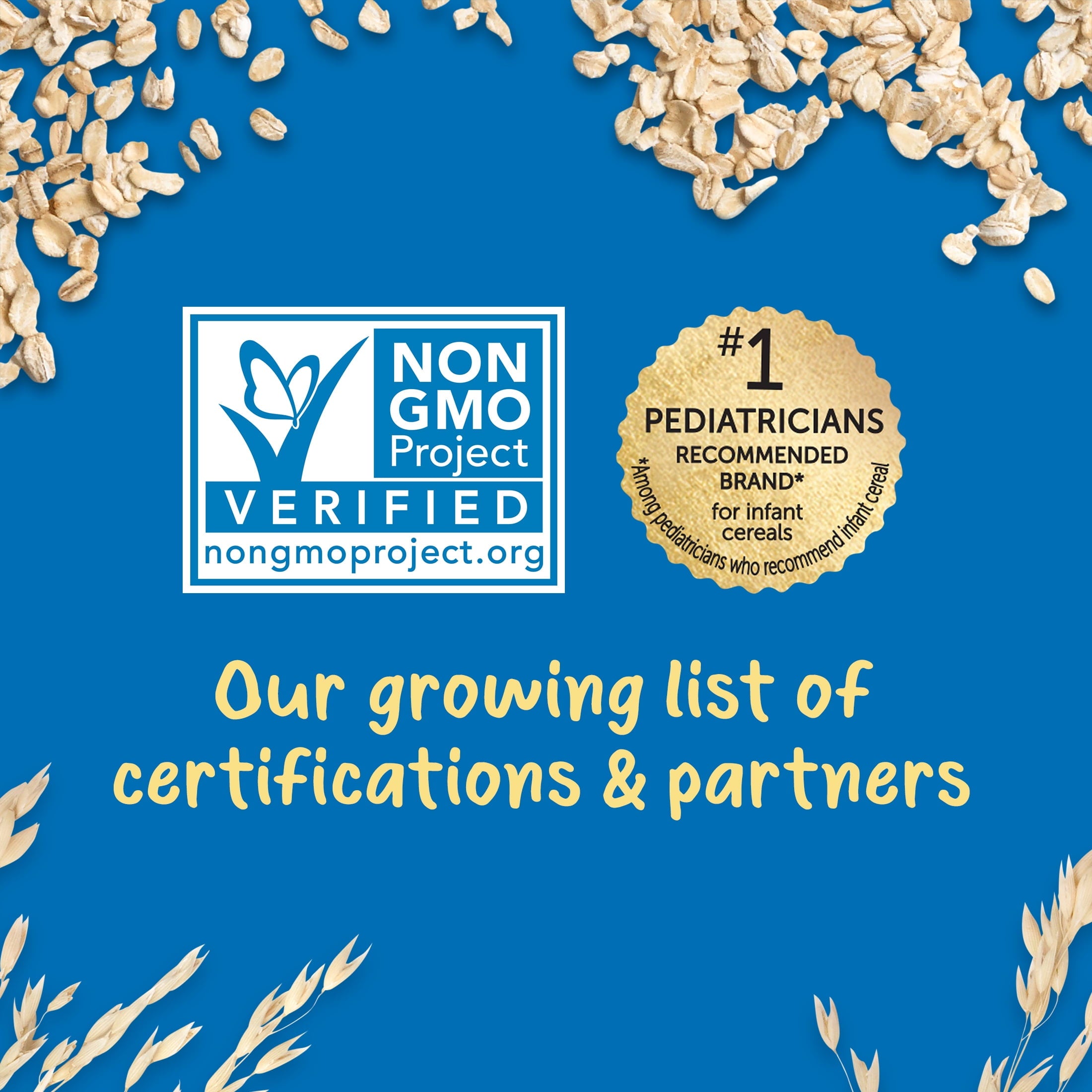 Gerber Grain & Grow Oatmeal | Baby's First Food for Supported Sitters | 227g