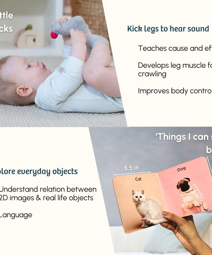 Curious Cub Level 3 Montessori Play & Learn Kit (5 Months+) | Sensory & Motor Skill Development Baby Toys | Made in India | minimee kids