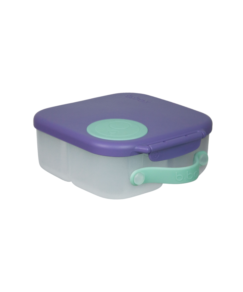B.Box Mini Lunch Box 1L for Kids (3y+) | Leak-Proof 2-Compartment Lunchbox with Stretchy Flexi Fruit Holder & Adjustable Divider | BPA-Free & Freezer Safe | Assorted Colors - MINIMEE KIDS