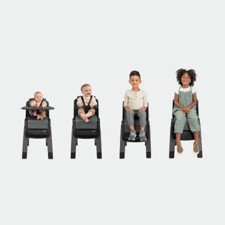 Nuna Zaaz High Chair - For 0M+ to 100Kg - Air Foam Cushion - Black Plum