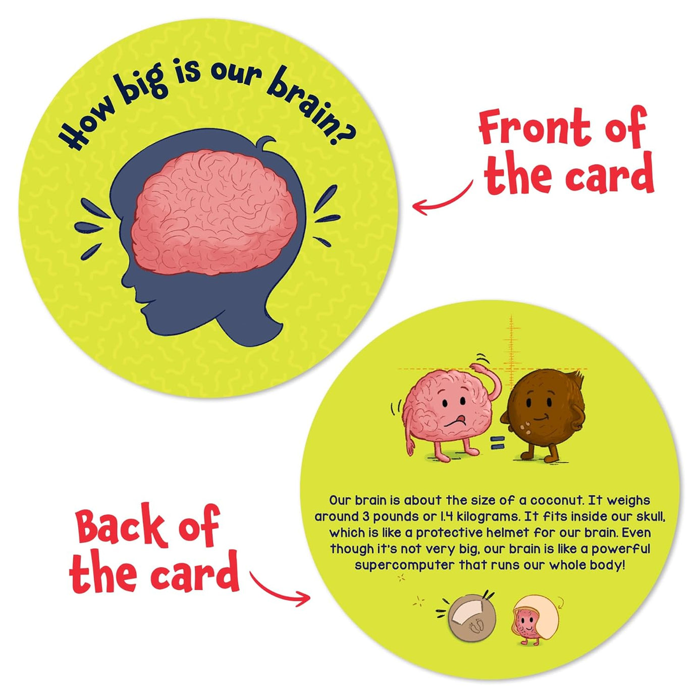 Skillmatics Science Snippets: The Human Body | Fun Educational Game for Ages 7+ | 70+ Interactive Cards for STEM Learning