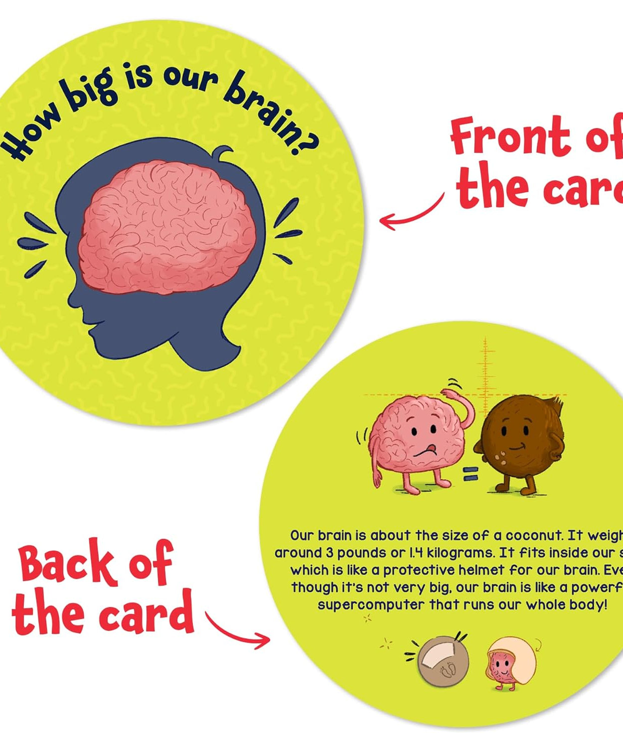 Skillmatics Science Snippets: The Human Body | Fun Educational Game for Ages 7+ | 70+ Interactive Cards for STEM Learning