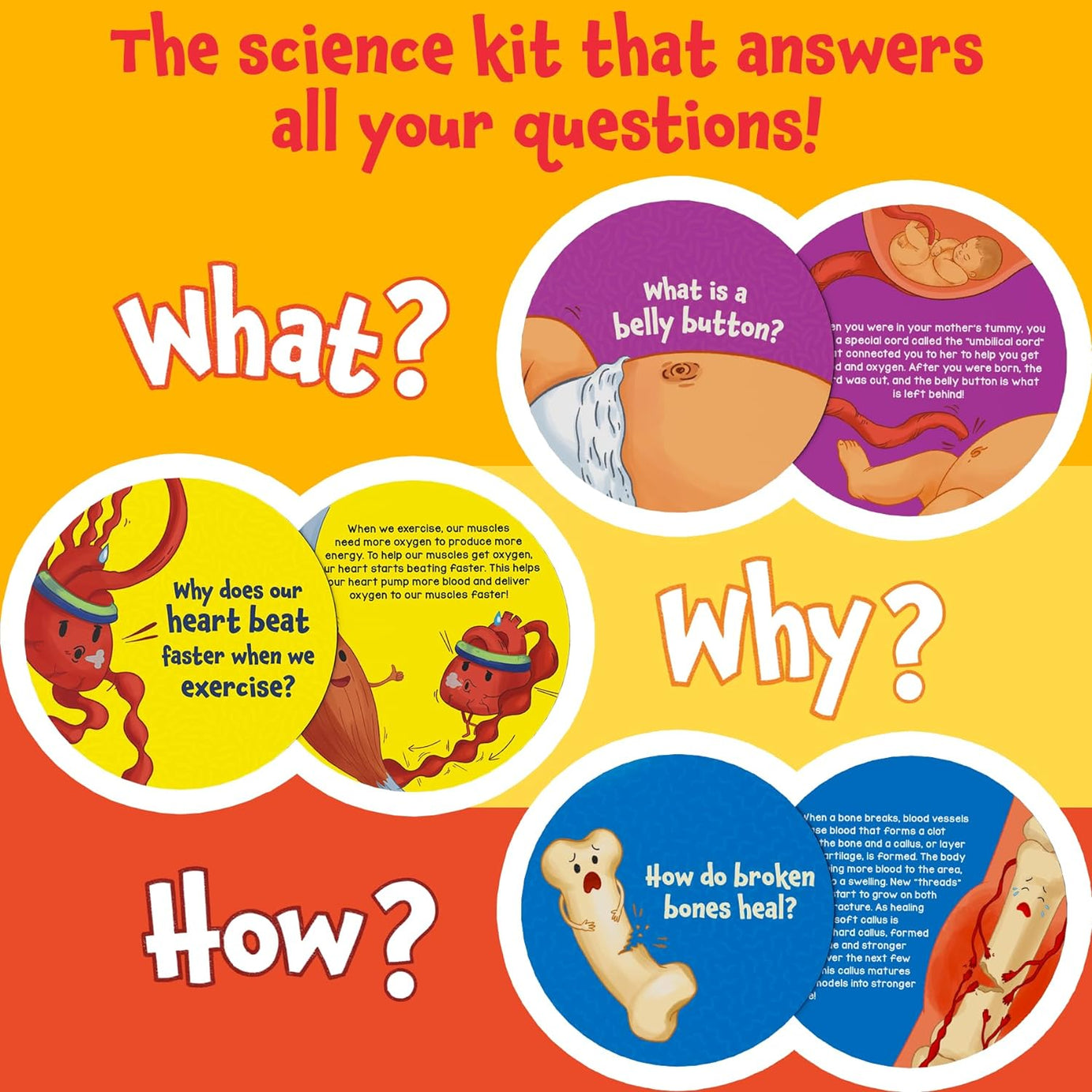 Skillmatics Science Snippets: The Human Body | Fun Educational Game for Ages 7+ | 70+ Interactive Cards for STEM Learning