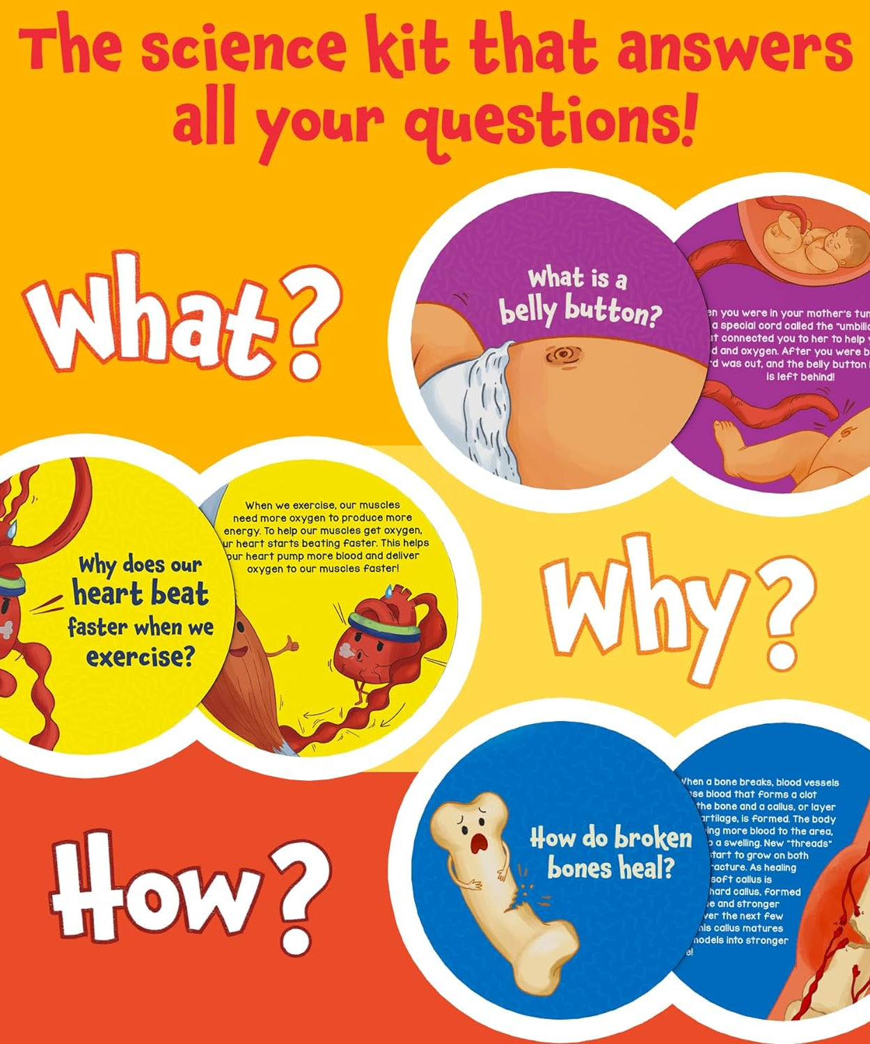Skillmatics Science Snippets: The Human Body | Fun Educational Game for Ages 7+ | 70+ Interactive Cards for STEM Learning